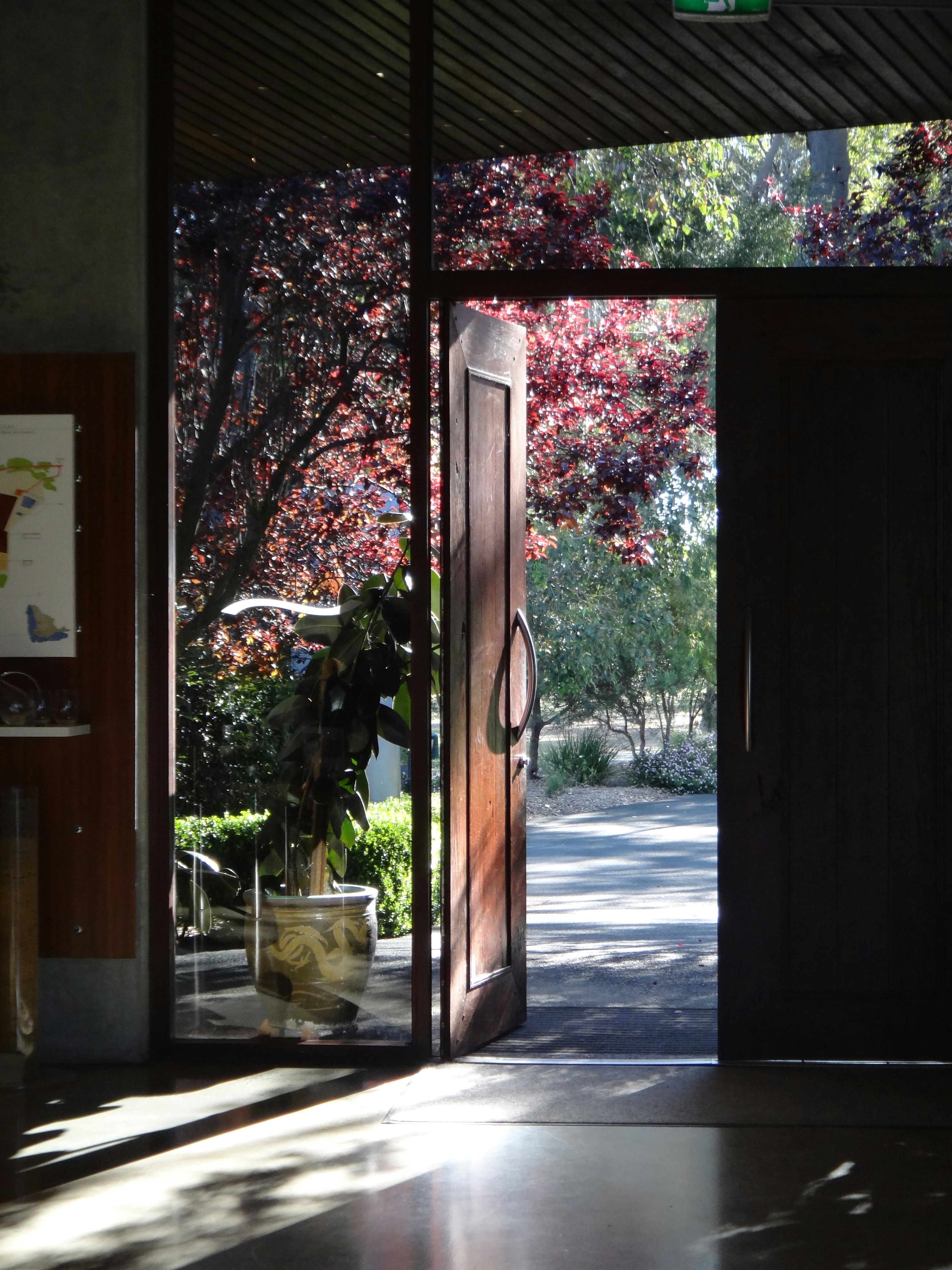 Puerta abierta con vista a un jardín soleado